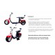 Электроскутер Citycoco Long 1500W, 60V12Ah, Black (r804d/1500Bk)